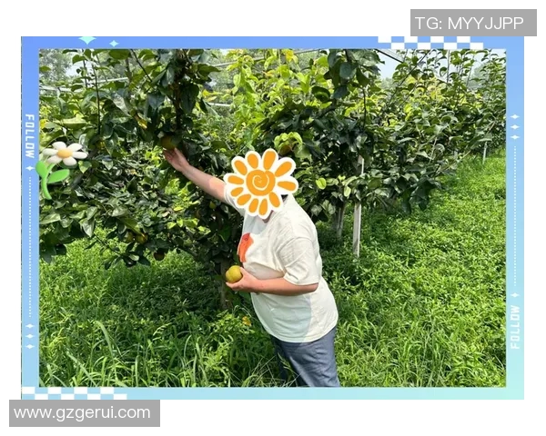 果园采摘乐：亲手体验丰收的喜悦与自然的馈赠