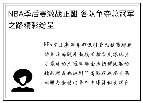 NBA季后赛激战正酣 各队争夺总冠军之路精彩纷呈