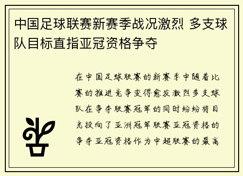 中国足球联赛新赛季战况激烈 多支球队目标直指亚冠资格争夺
