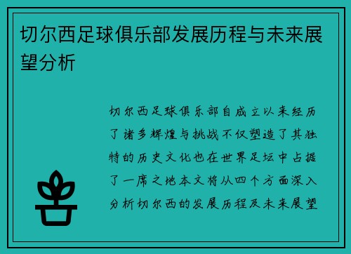 切尔西足球俱乐部发展历程与未来展望分析